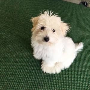 Meet your Posher, Myrna